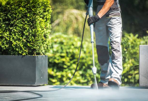 Best Sidewalk and Walkway Pressure Cleaning in Edinburg, TX
