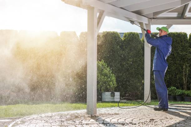 Best Gutter Cleaning and Brightening in Edinburg, TX
